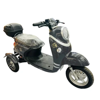 Электротрицикл GT-EV5 (Серый)